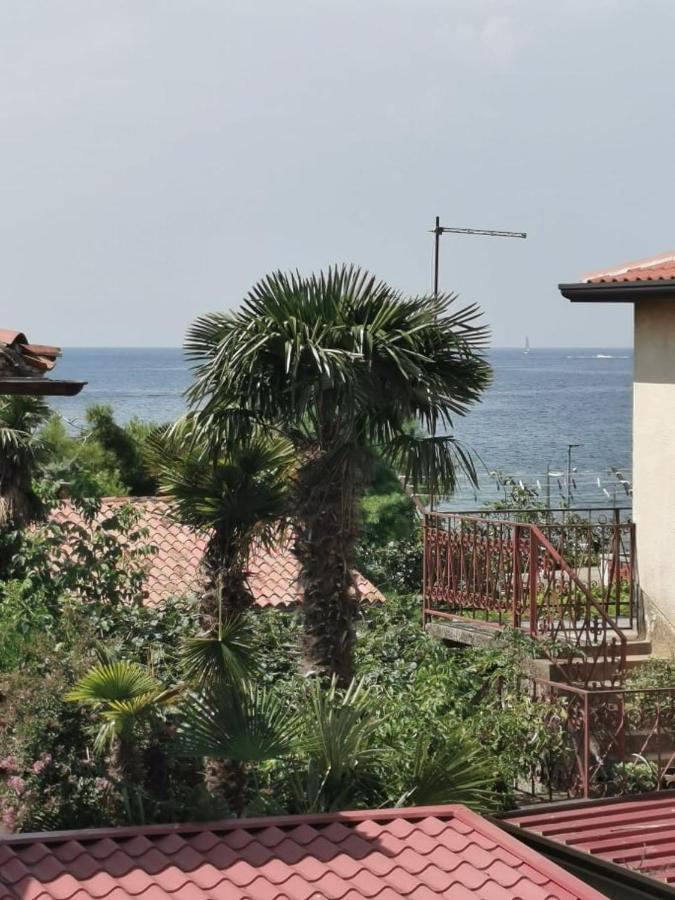 App Palcic K Apartment Novigrad  Exterior photo