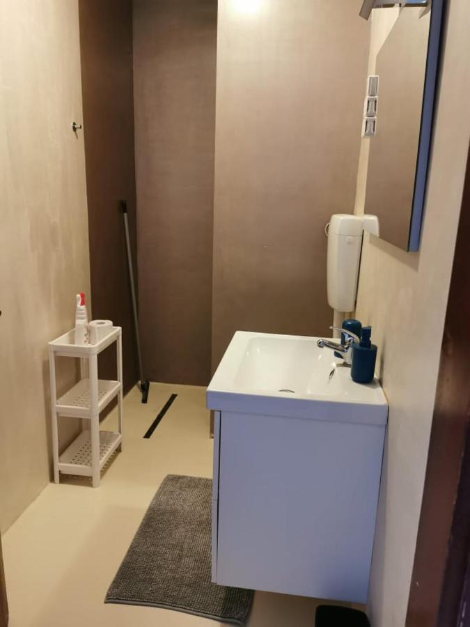 App Palcic K Apartment Novigrad  Exterior photo