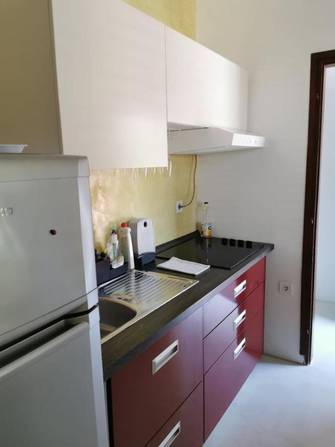 App Palcic K Apartment Novigrad  Exterior photo