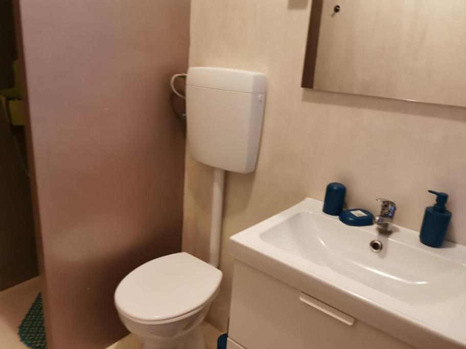 App Palcic K Apartment Novigrad  Exterior photo