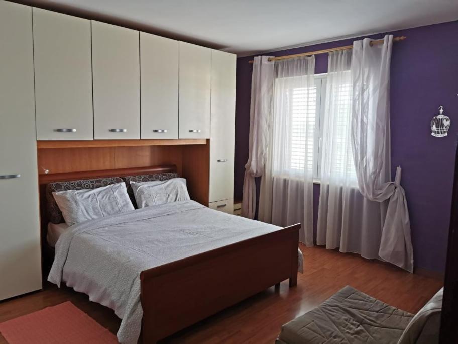 App Palcic K Apartment Novigrad  Exterior photo