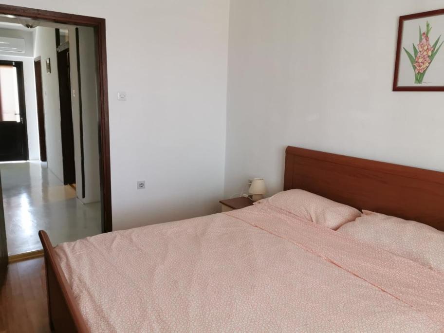 App Palcic K Apartment Novigrad  Exterior photo