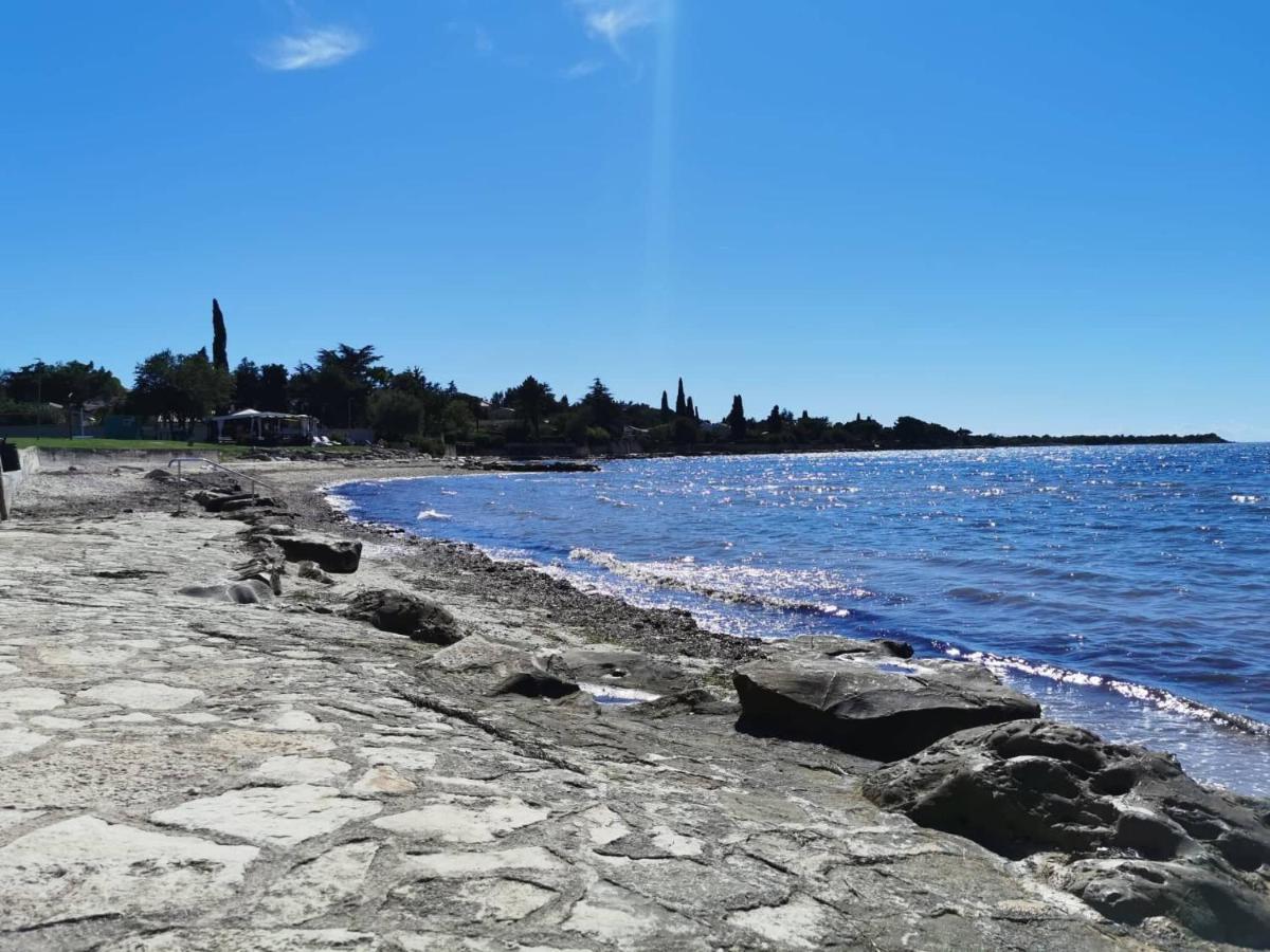 App Palcic K Apartment Novigrad  Exterior photo