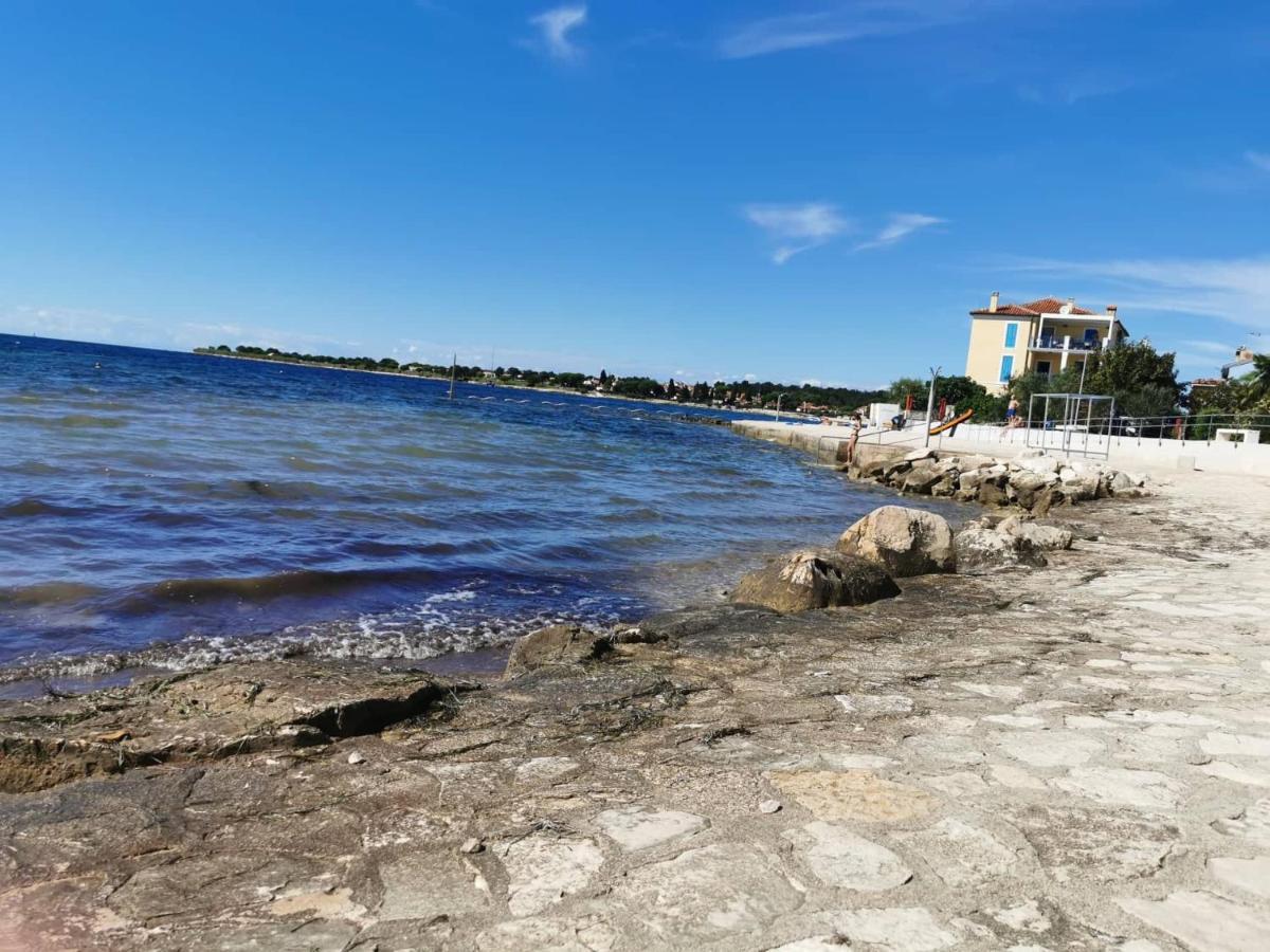 App Palcic K Apartment Novigrad  Exterior photo