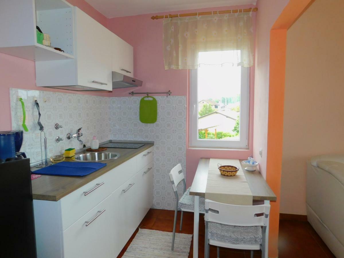App Palcic K Apartment Novigrad  Exterior photo