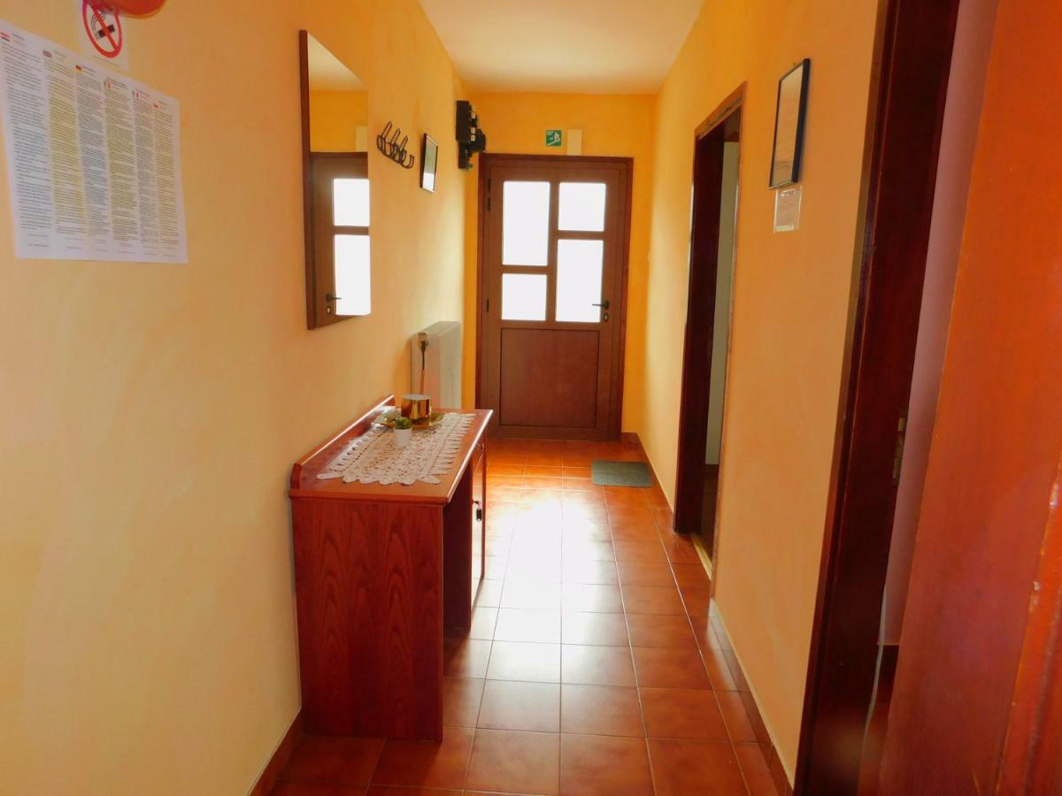 App Palcic K Apartment Novigrad  Exterior photo